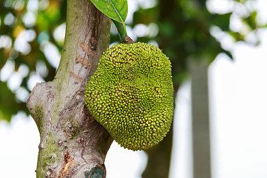 《原子之心》PS版容量大小曝光 2月19日开始预载